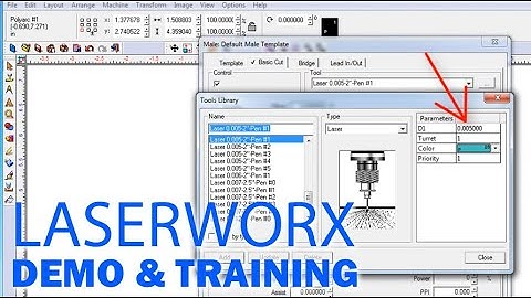 Online Learning System and Laserworx Training Program