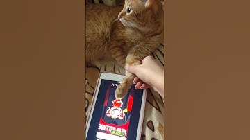 Mining NACKL coins non-stop — are you in?💰 #mining #ackinacki #token #crypto