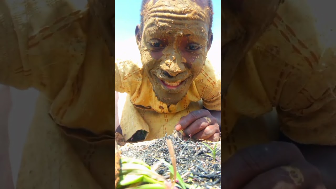 A Day in My Life: The Reality of Working from Home 