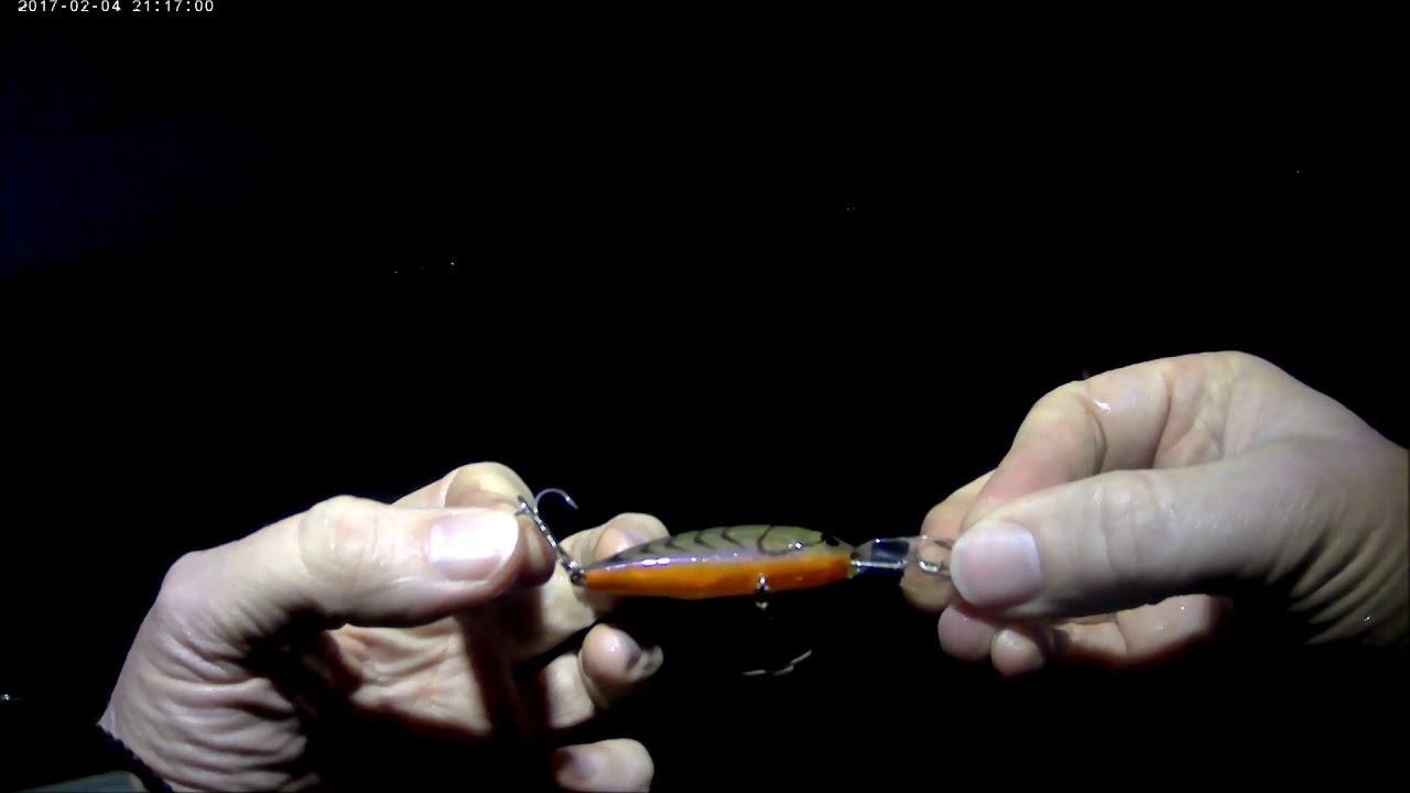 Q Do fish chase lures at night? YouTube