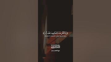 ما تيسر من سورة النمل للشيخ طه الفشني