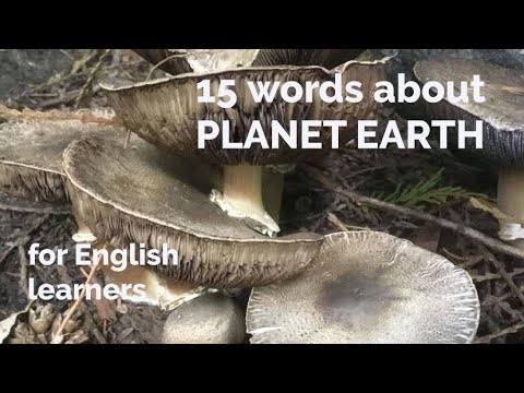 15 Words - About Planet Earth