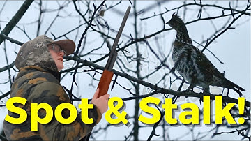 Spot & Stalk GROUSE HUNT and 2021 hunting highlights | Alberta Hunting