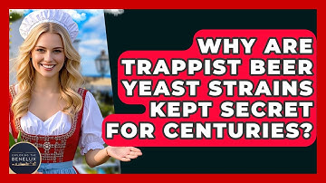 Why Are Trappist Beer Yeast Strains Kept Secret For Centuries? - Exploring The Benelux