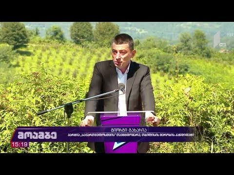 პარტია „საქართველოსთვის“ კანდიდატების წარდგენა