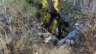 Forgotten Underground Canal In Boise Causes Flooding After Rainstorm