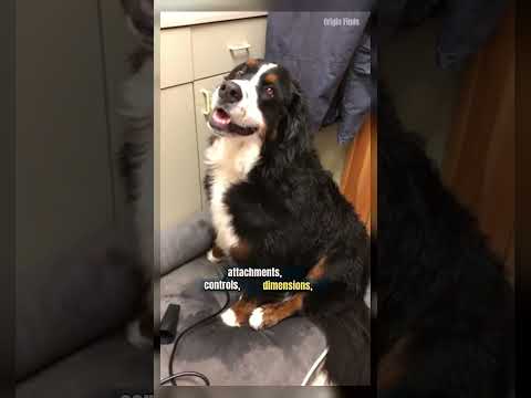How to Read a Pet Dryer Listing Before You Buy video thumbnail