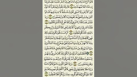 سورة البقرة من الآية ٧٠ إلى الآية ٧٦ بصوت القارئ ماهر المعيقلي