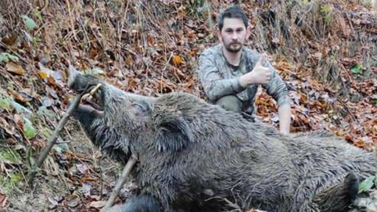 2021 Super Domuz Avlari Chasse Au Cochon Geant Wild Boar Hunting Hunter Hunt Turkey Attacking Pig Youtube