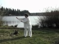 Taiji qigong 18