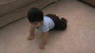 20081004 Jay Crawls