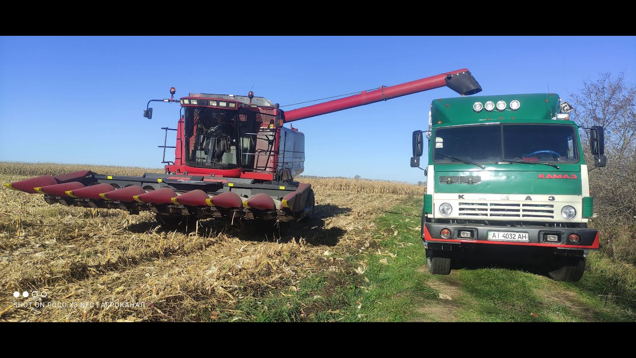 Збираємо молотимо КУКУРУДЗУ ДКС 4014 КЕЙС 2388 КАМАЗ - YouTube