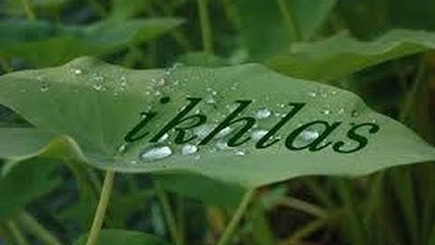 112. Sourate Al-Ikhlas [ Le monothéisme pur ] سورة الإخلاص