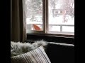 Snowing in Big Bear - cozy cabin vibes