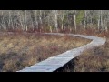 Beginning of video