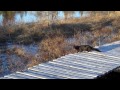 Middle of video