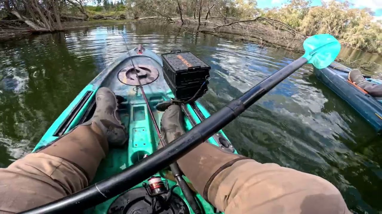 Kayak Fishing! Guiding Anglers to the Catch Bass in one of the most pressured local fisheries🎣🛶