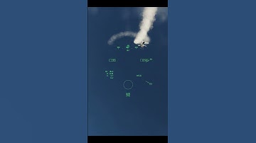 When a reversal gets you killed... | DCS BFM