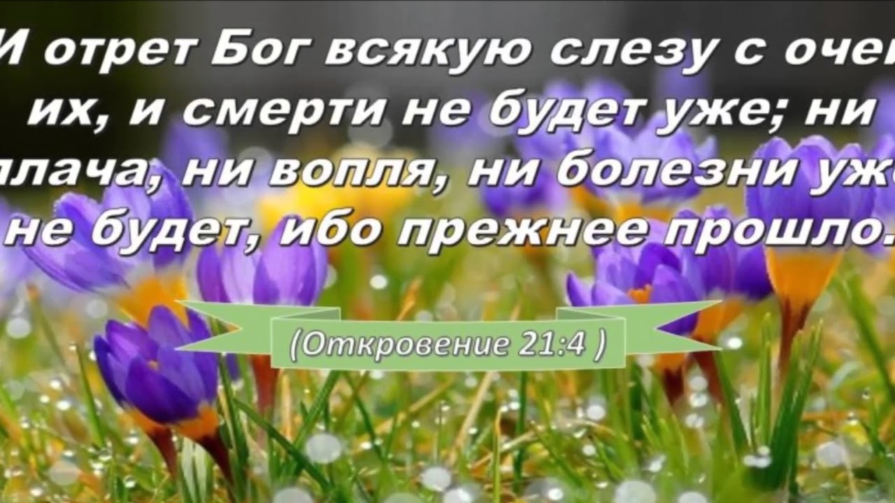 Христианские Ехб Фото Открытки С Пожеланиями