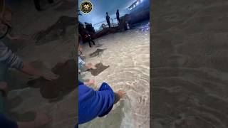 Ripley's Aquarium of Canada #freetickets #KOB #crypto