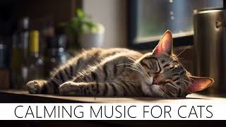 DREAMY Music for Cats | Gentle music to relax your cat (and yourself)❤️😺