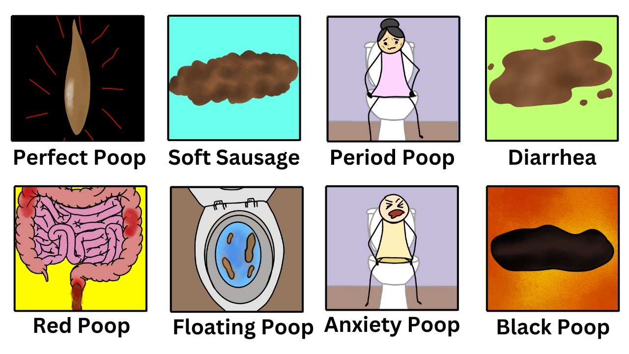 Every Poop Explained in 8 Minutes