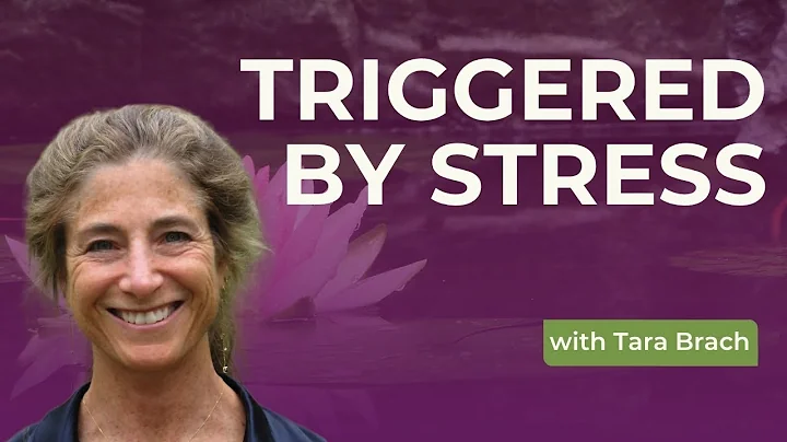 Learning to Respond Not React - Tara Brach