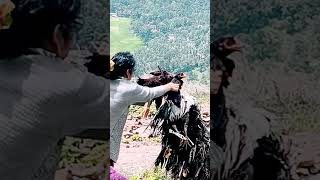 Masi Periyannan Sami Temple Kollimalai