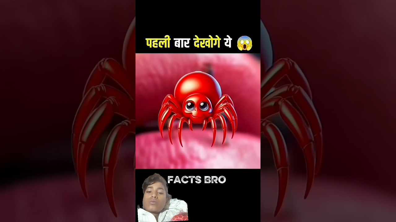 ????Never Touch ❌ The Water Of The Dam???? #amazingfacts 