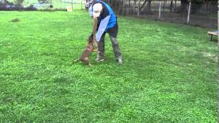 DarkFall Uma bitework (2,5 months)