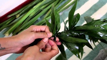 Making of a Ti Leaf Lei