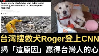 台灣搜救犬Roger登上CNN 揭「這原因」贏得台灣人的心｜馬習二會｜日漫Chiikawa讚「好國台灣」 小粉紅氣炸怒罵台獨！（2024/04/10）