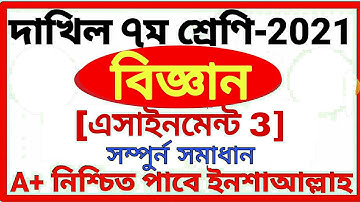 Class 7 Dakhil Science Assignment 3 Answer 2021 || দাখিল সপ্তম শ্রেণির বিজ্ঞান এসাইনমেন্ট ৩ উত্তর