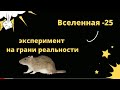 Вселенная-25. Шокирующий эксперимент. Что это значит для человечества !?