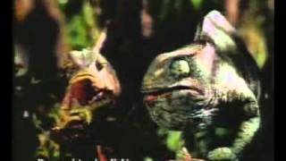 Watch Frogs Pay video