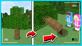 MIPAN \u0026 ZUZUZU Ternyata Punya Ruangan Super Rahasia Bawah Pohon Di Minecraft! TIDAK KETAUAN