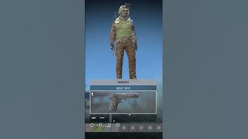 De Plate Carrier is OP in DayZ