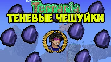 Теневые чешуйки Террария (2023) | Теневая чешуйка Террария | Как добыть Теневая чешуйка в Террария