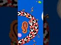 #wormszone #funny #gameplay #gaming #sortvaralvideo #snake #snake #games #shortsfeed #snakegame