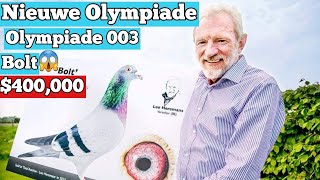 Leo Hermans Racing Pigeons: Olympiade 003, Bolt, Nieuw Olympiade - Top 3 Birds from His Loft .