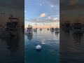 Two Harbors, heading out for more dorado!
