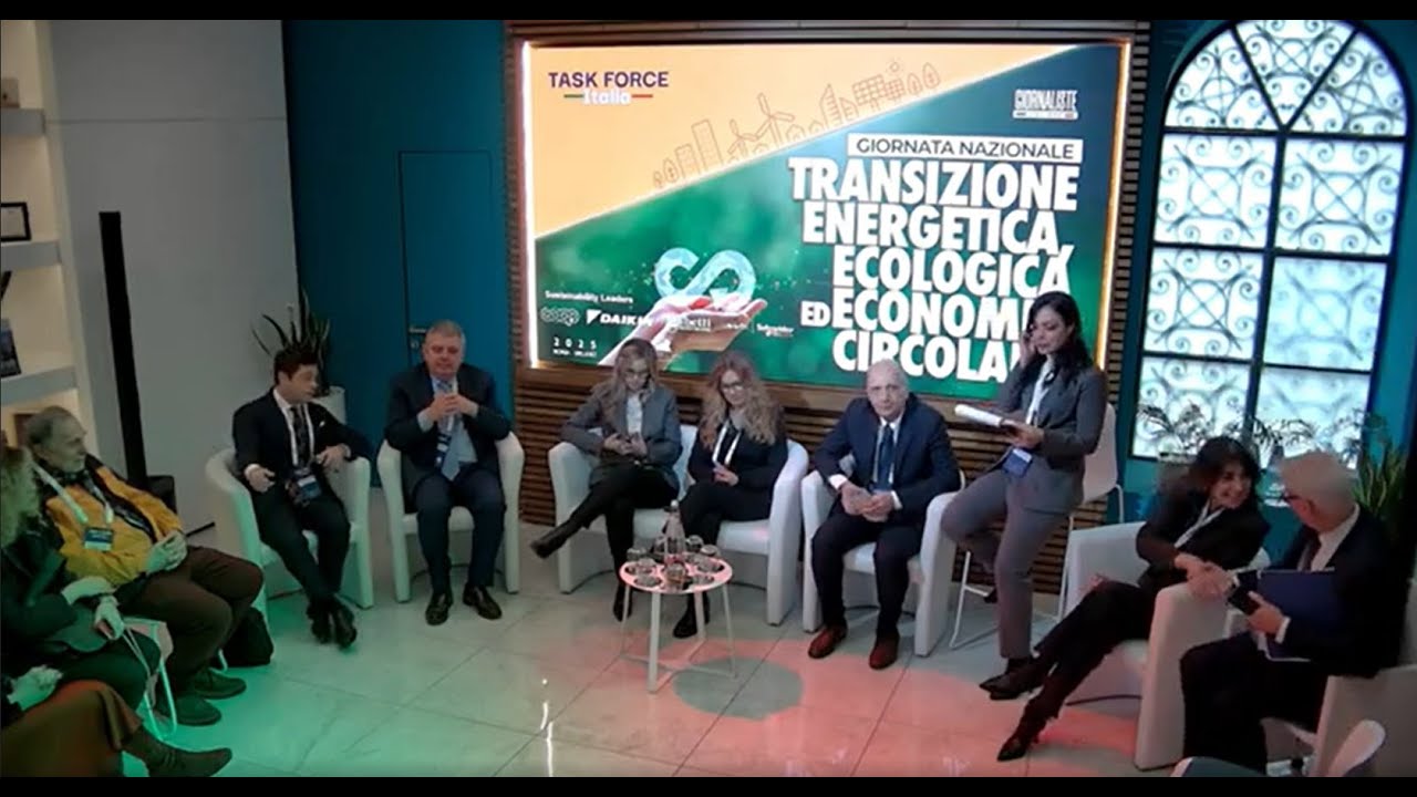 Plenaria Istituzionale - Task Force Italia - 20 Feb 25