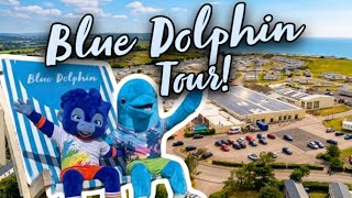 Haven Blue Dolphin - is it ANY GOOD? Haven Blue Dolphin - is it ANY GOOD?