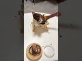 The parrot is lying on a chair being fed by its owner. #birds #parrot #parrots #pets #shorts