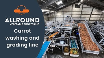 Carrot washing and grading line | Netherlands | Allround Vegetable Processing