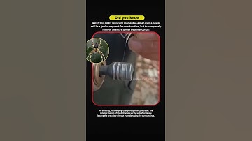 "Man Uses Power Drill to Instantly Clear Giant Spider Web!" #shortsfeed #ytshorts #spiderweb #viral