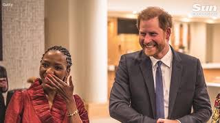 Harry always throws toys out of pram - latest charity move is childish