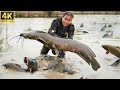 Monster Fish Hunt! Catching 100kg Giant Fish by Hand to Sell & Grilled Fish Cooking!