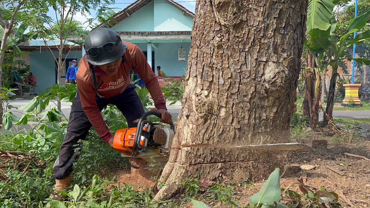 Fast… Once started, it’s finished right away‼️