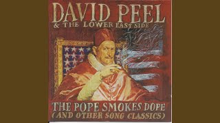 Video thumbnail of "David Peel & the Lower East Side - The Pope Smokes Dope"